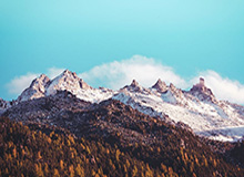 王楚钦、孙颖莎将出战WTT新加坡大满贯赛